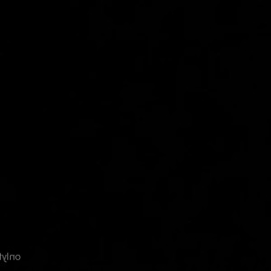 Video by vampbussy published on May 10,2023 06:55:00 - BestThots
