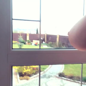 Video by loonascandi published on April 9,2023 08:06:00 - BestThots