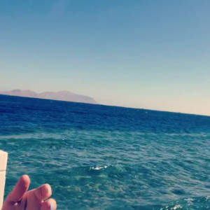 Video by loonascandi published on July 3,2023 04:41:00 - BestThots