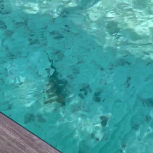 Video by loonascandi published on August 23,2023 00:01:00 - BestThots