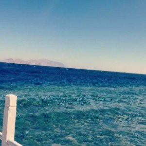 Video by loonascandi published on July 28,2023 09:16:00 - BestThots