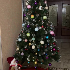 Video by loonascandi published on August 24,2023 15:01:00 - BestThots