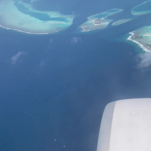 Video by loonascandi published on March 17,2023 16:27:00 - BestThots