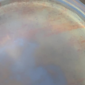 Video by oliviabnwo published on July 6,2023 21:53:00 - BestThots