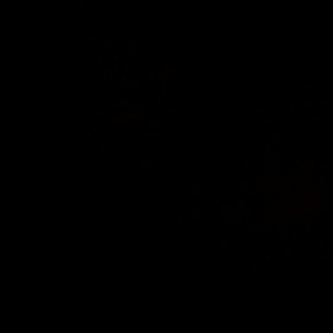 Video by rachel000 published on May 1,2023 12:31:00 - BestThots