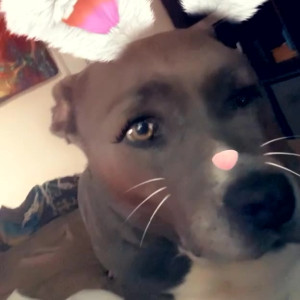 tsvegasvalentine #3944839