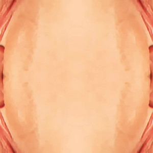 Video by theellehell published on August 18,2023 06:14:23 - BestThots