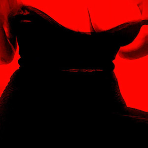 Video by theellehell published on August 18,2023 06:13:41 - BestThots