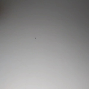 Video by theellehell published on August 18,2023 05:12:53 - BestThots