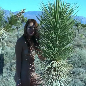 Video by brandibabees published on July 15,2023 21:29:00 - BestThots