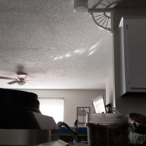 Video by laurawould123 published on June 26,2023 12:39:00 - BestThots