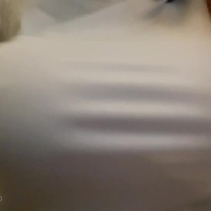 Video by jenicca published on March 31,2023 21:16:00 - BestThots