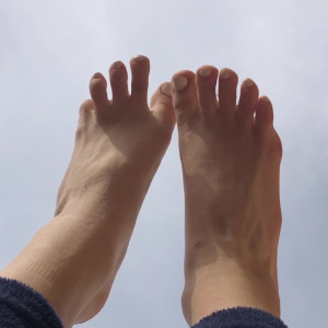 sofyainys_free #3351280