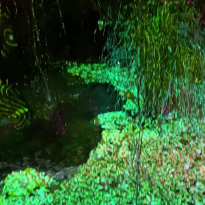 Video by londonlix published on March 31,2023 23:18:00 - BestThots