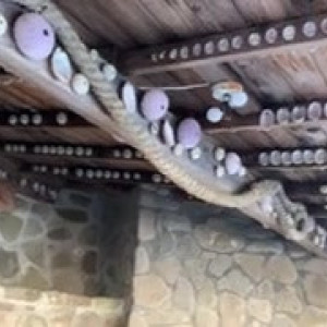 Video by londonlix published on March 23,2023 20:10:00 - BestThots