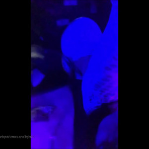 Video by stephrodriguez published on May 22,2023 20:49:00 - BestThots