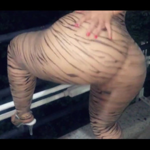 Video by stephrodriguez published on April 8,2023 18:50:00 - BestThots