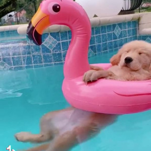 Video by marilynwho published on July 15,2023 03:40:00 - BestThots