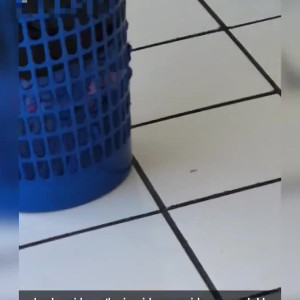 Video by violetwitchy published on March 26,2023 04:54:00 - BestThots