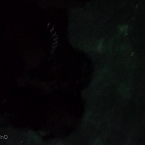 Video by itsmoeduh published on March 27,2023 13:57:00 - BestThots