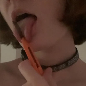dxmbpup #5211312