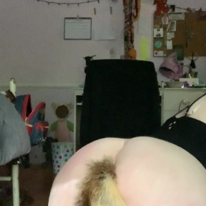 dxmbpup #5556839
