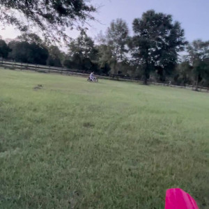 Video by taylorwhitetv published on May 16,2023 04:37:00 - BestThots