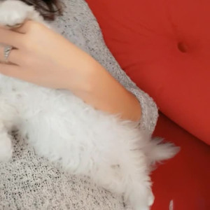 Video by nikkyfrench published on April 14,2023 13:42:00 - BestThots