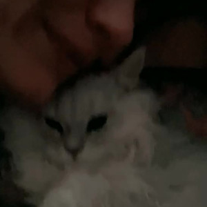 Video by nikkyfrench published on March 12,2023 03:00:00 - BestThots