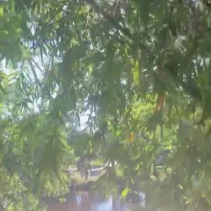 Video by models101 published on March 31,2023 22:12:00 - BestThots