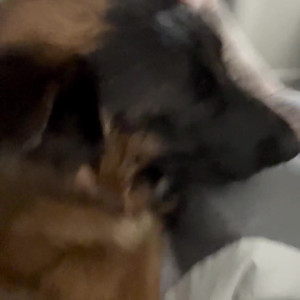 Video by jay_55k published on July 22,2023 20:26:00 - BestThots