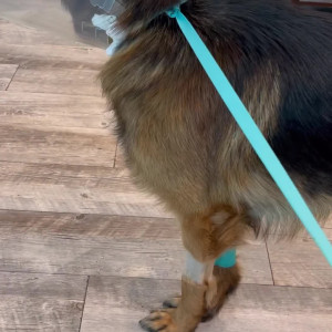 Video by jay_55k published on April 30,2023 10:54:00 - BestThots