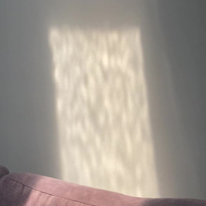 Video by therealvixenval published on March 3,2023 01:01:00 - BestThots