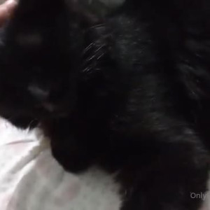 Video by erosennin01 published on August 18,2023 09:16:38 - BestThots