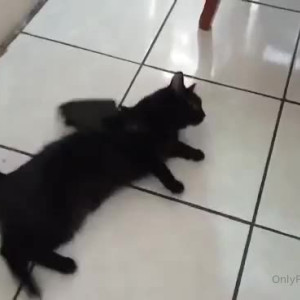 Video by erosennin01 published on August 18,2023 09:17:34 - BestThots