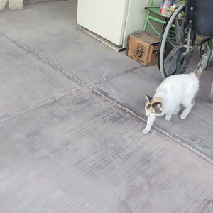 Video by erosennin01 published on August 18,2023 09:27:18 - BestThots