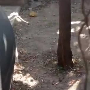 Video by erosennin01 published on August 18,2023 09:26:13 - BestThots