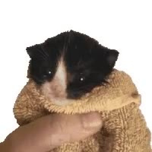 Video by erosennin01 published on August 18,2023 09:29:38 - BestThots
