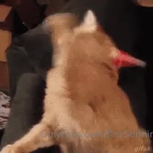 Video by erosennin01 published on August 18,2023 09:31:05 - BestThots