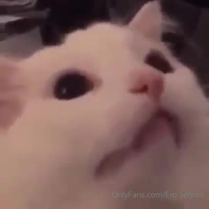 Video by erosennin01 published on August 18,2023 09:37:05 - BestThots