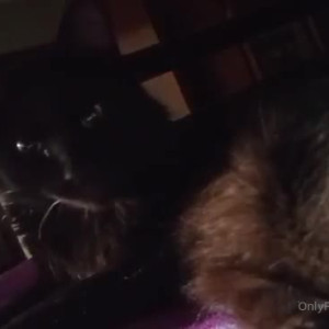 Video by erosennin01 published on August 18,2023 09:40:24 - BestThots