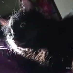 Video by erosennin01 published on August 18,2023 09:41:10 - BestThots