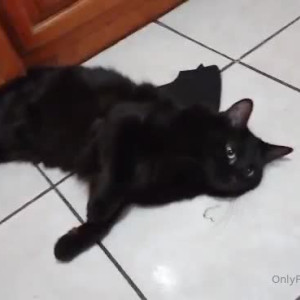 Video by erosennin01 published on August 18,2023 09:41:20 - BestThots