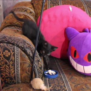 Video by erosennin01 published on August 18,2023 09:46:07 - BestThots