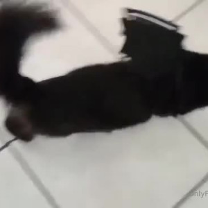 Video by erosennin01 published on August 18,2023 09:47:38 - BestThots