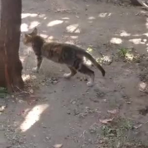 Video by erosennin01 published on August 18,2023 09:53:34 - BestThots